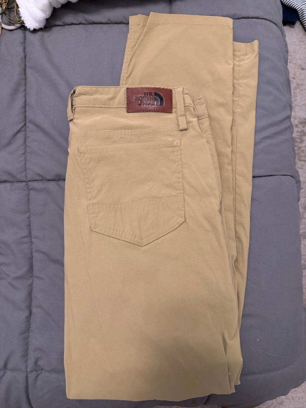 The North Face Men's Tan Chino Pants